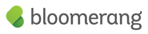 Bloomerang-Logo